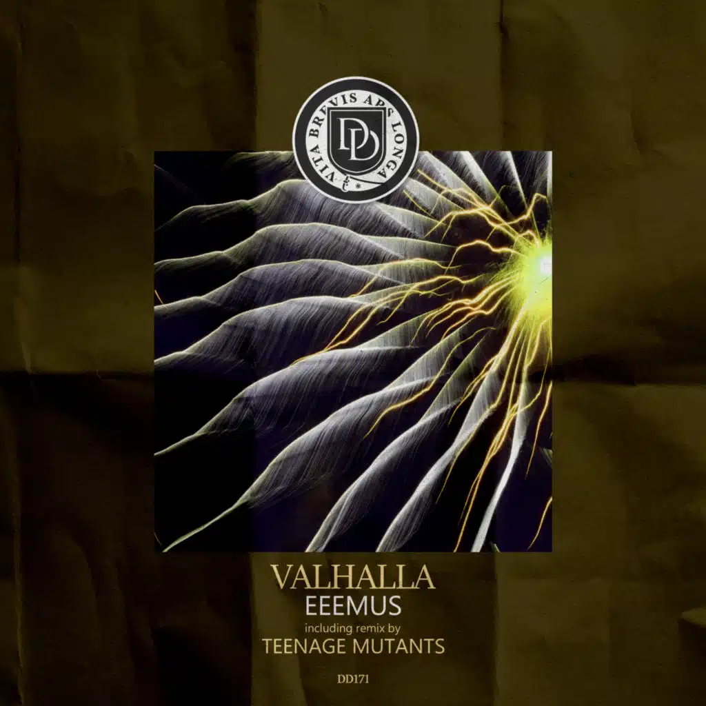 Valhalla (Teenage Mutants Remix)