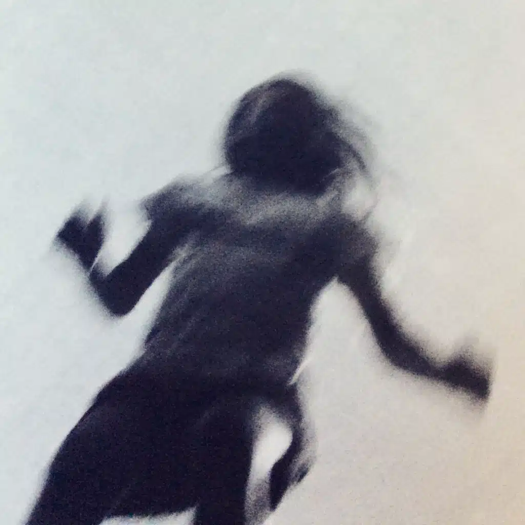 Les Enfants Sauvages