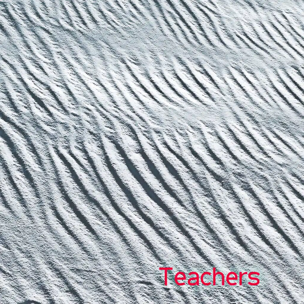 Teachers
