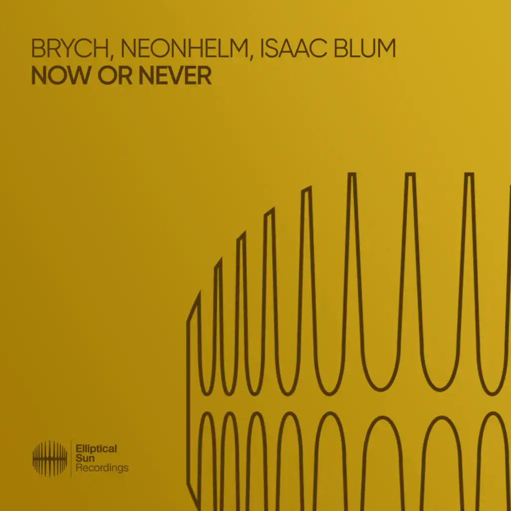 Now Or Never (Extended Mix)
