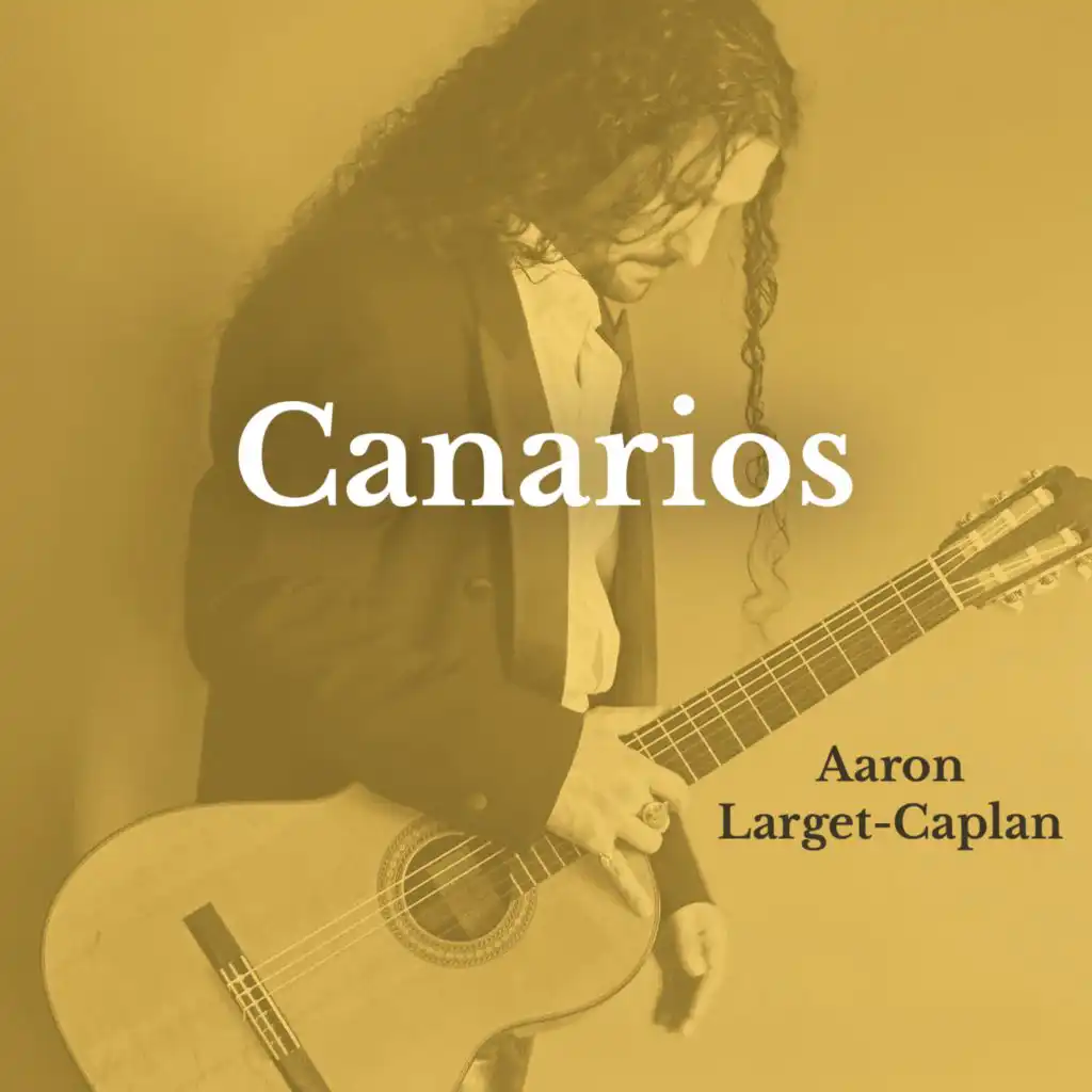 Gaspar Sanz & Aaron Larget-Caplan