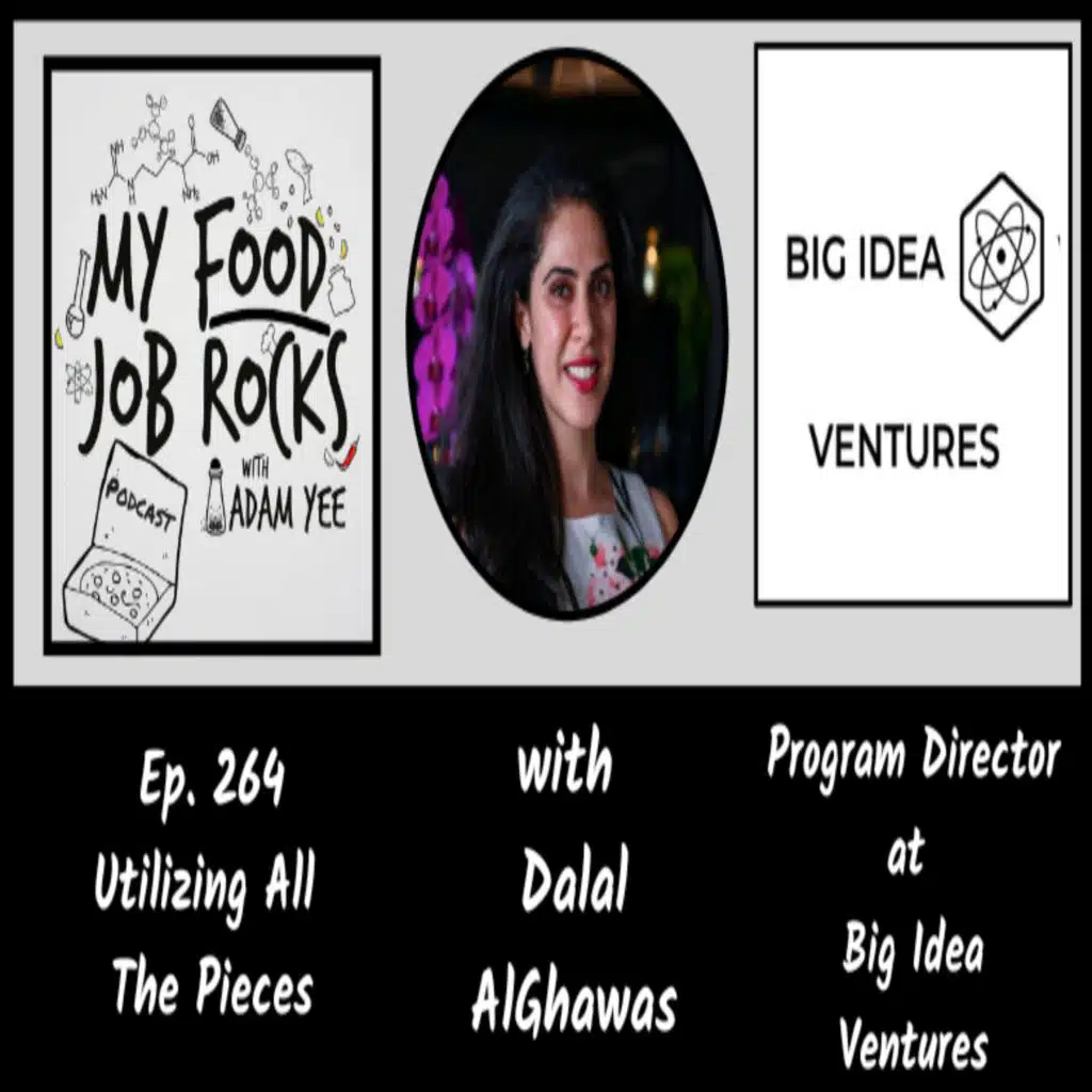 Ep. 264 - [Singapore] Utilizing All the Pieces in Singapore with Dr. Dalal AlGhawas, Program Director at Big Idea Ventures