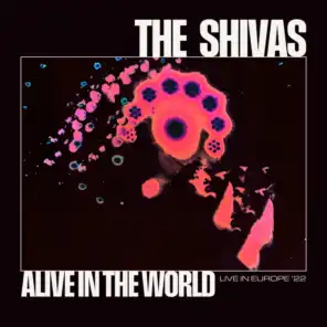 The Shivas