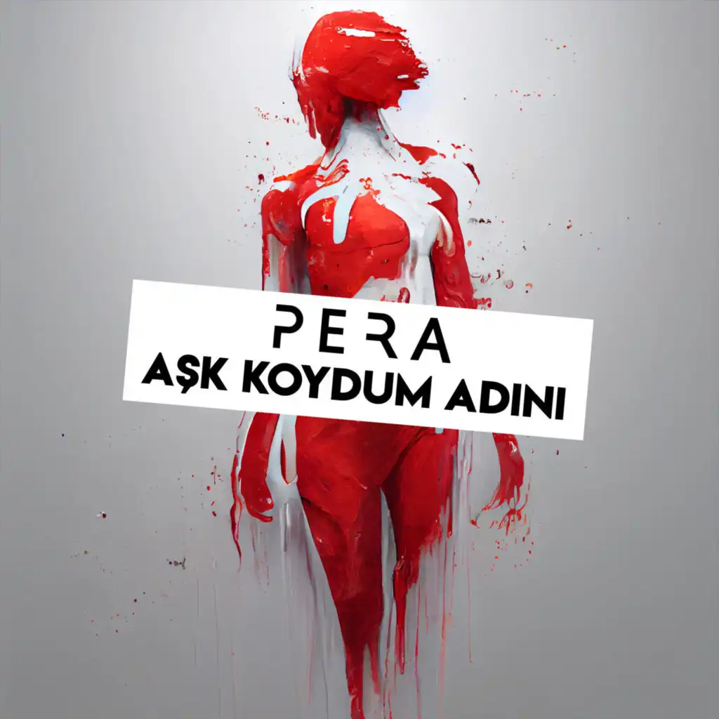 Aşk Koydum Adını