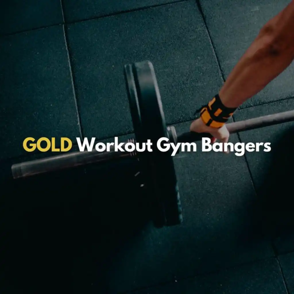 GOLD Workout Gym Bangers