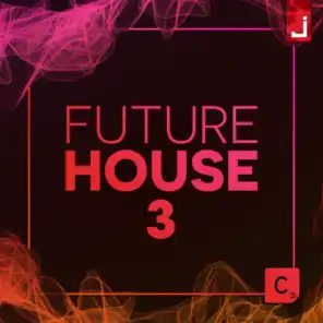 Future House Vol. 3
