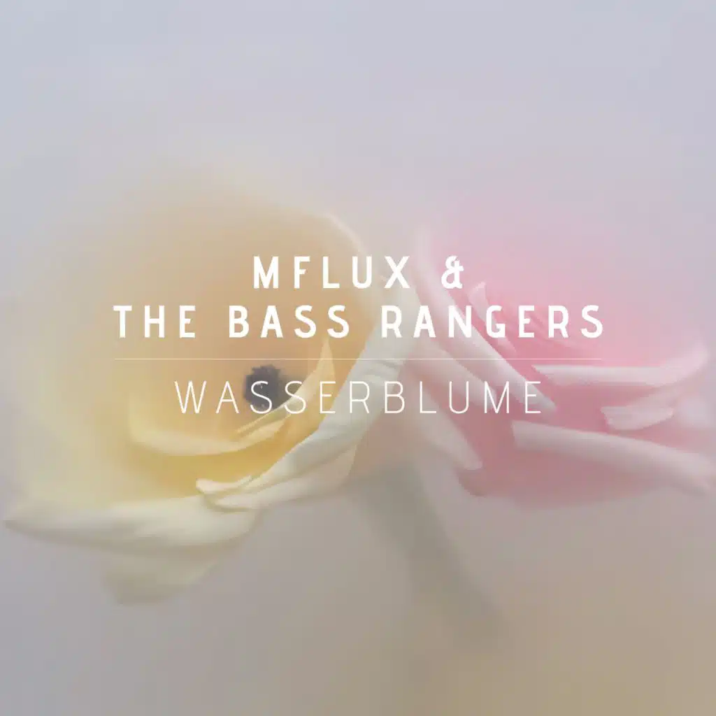 Mflux & The Bass Rangers