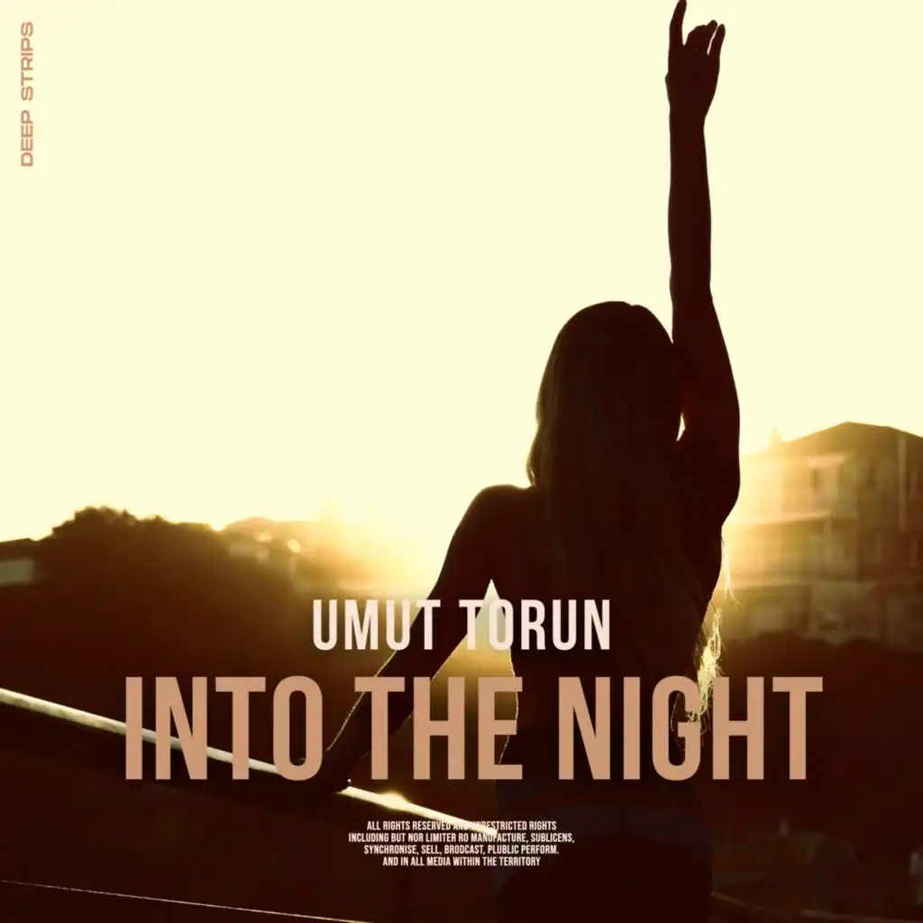 Into the Night (Extended Mix)