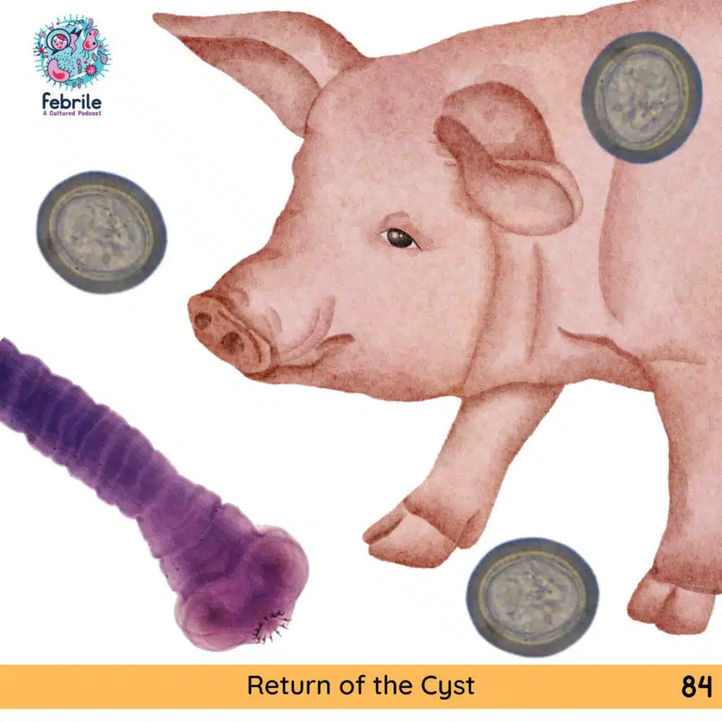 84: Return of the Cyst