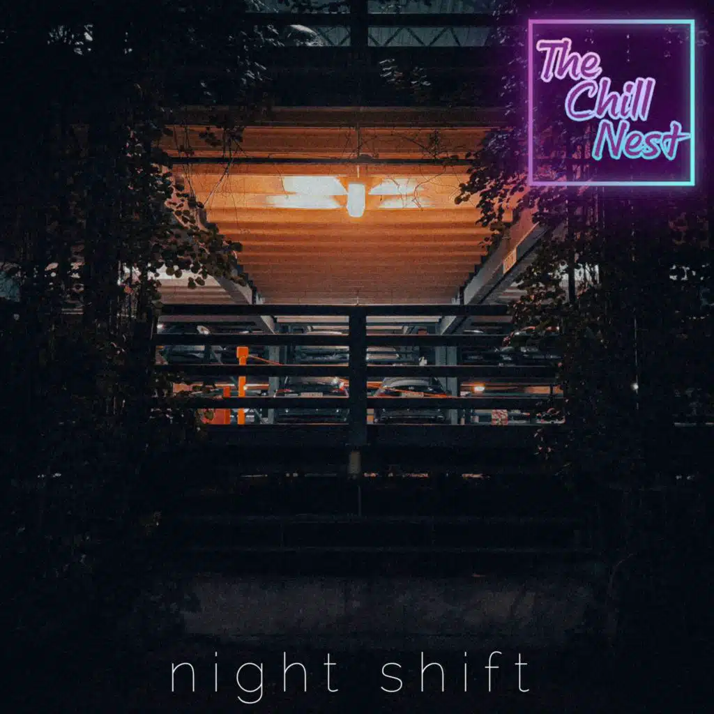 Moonless Night (The Chill Nest Version)