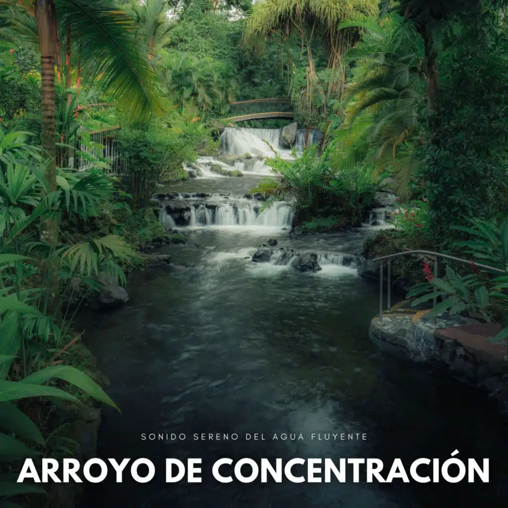 Arroyo De Concentración: Sonido Sereno Del Agua Fluyente