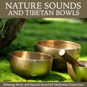Nature Sound and Tibetan Bowls (Singing Bowls and Natural Sound for Meditation Experience)