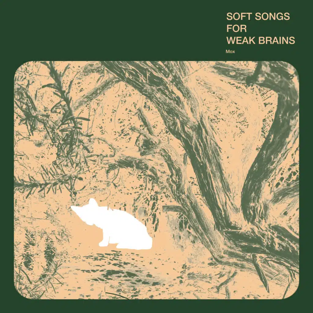 Soft Songs for Weak Brains