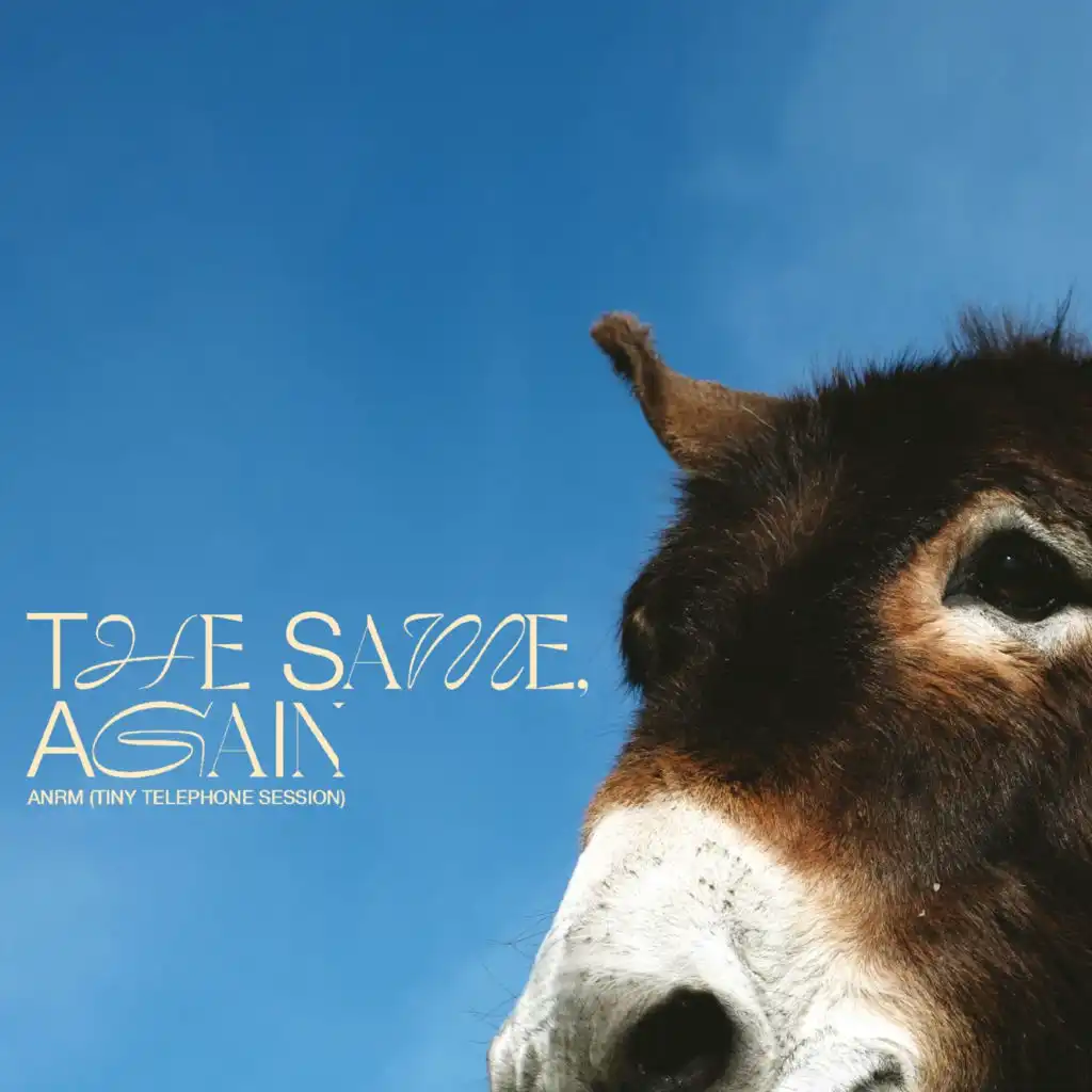 Superficial Conversation (Tiny Telephone Session)