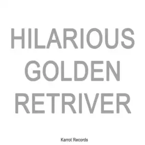 Hilarious Golden Retriver (Christmas Trend)