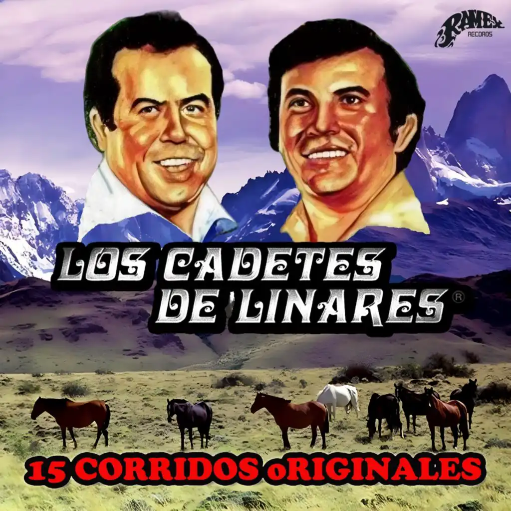 Una Lagrima y un Recuerdo