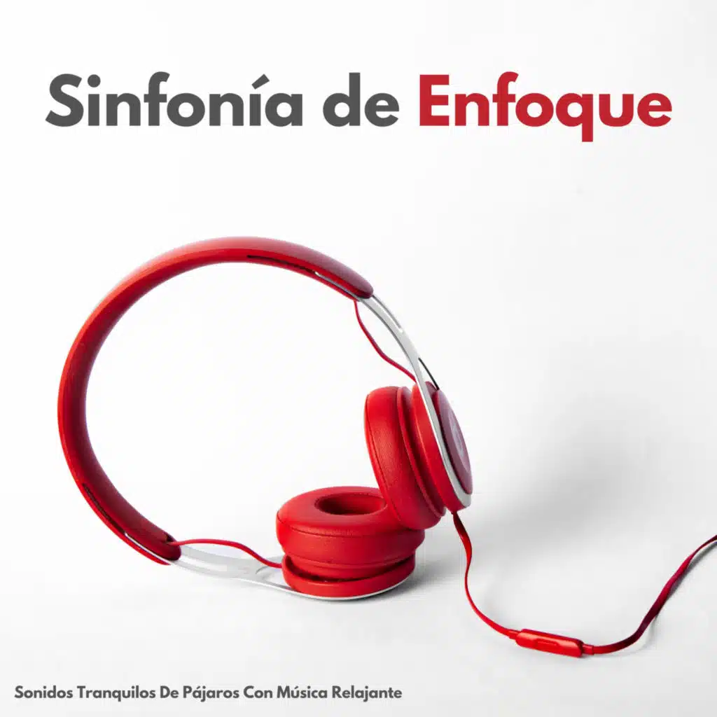 Groove Puro
