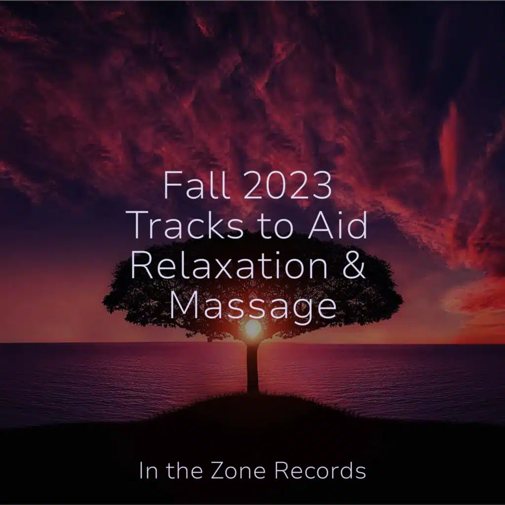 Fall 2023 Tracks to Aid Relaxation & Massage