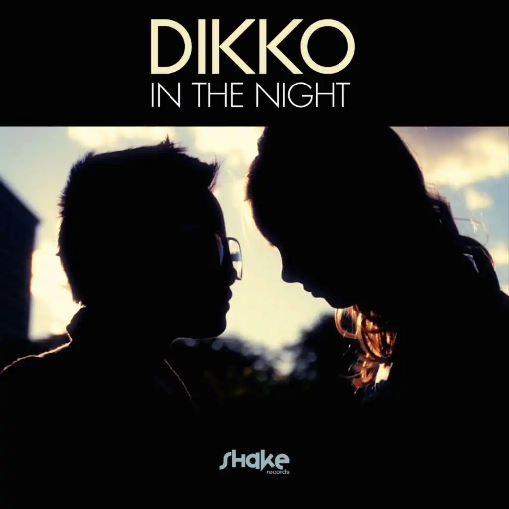 In the Night (Palmez Dub Mix)