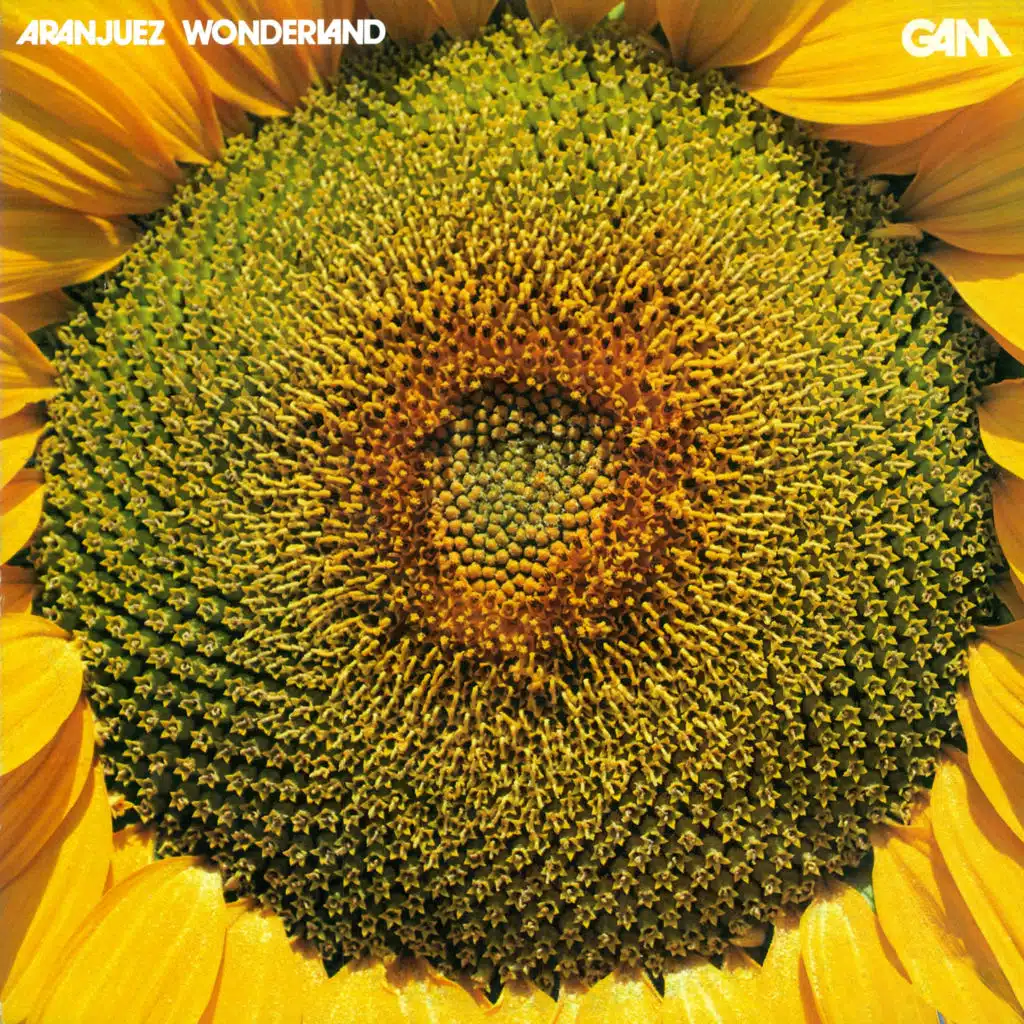 Autumn Concerto