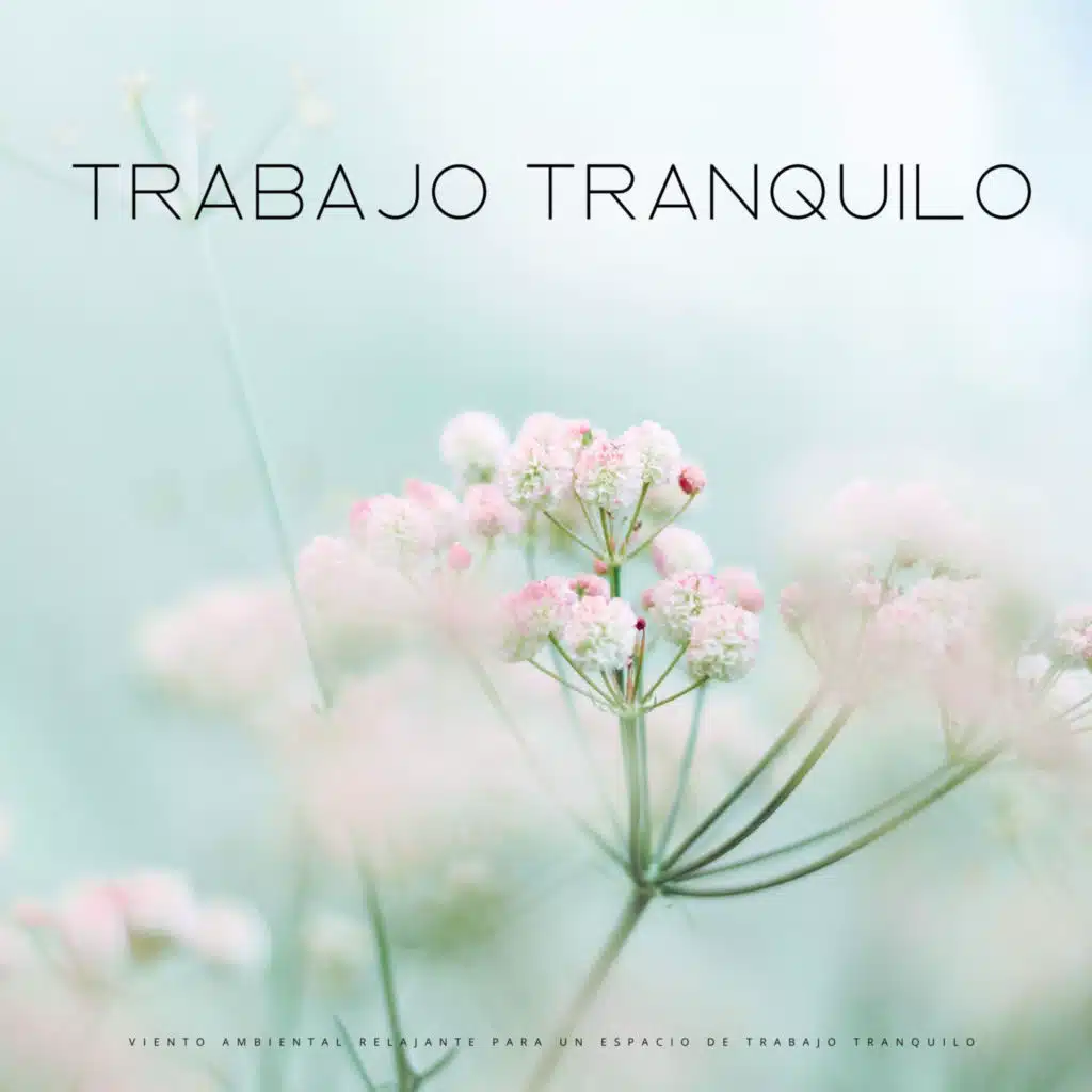 Viento Ambiental Relajante Para Un Espacio De Trabajo Tranquilo