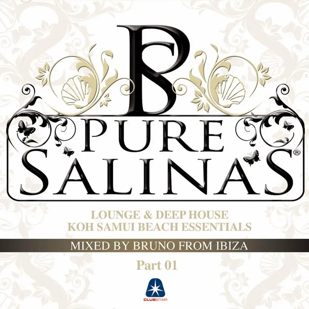 Pure Salinas, Vol. 2 (Compiled By Bruno from Ibiza)