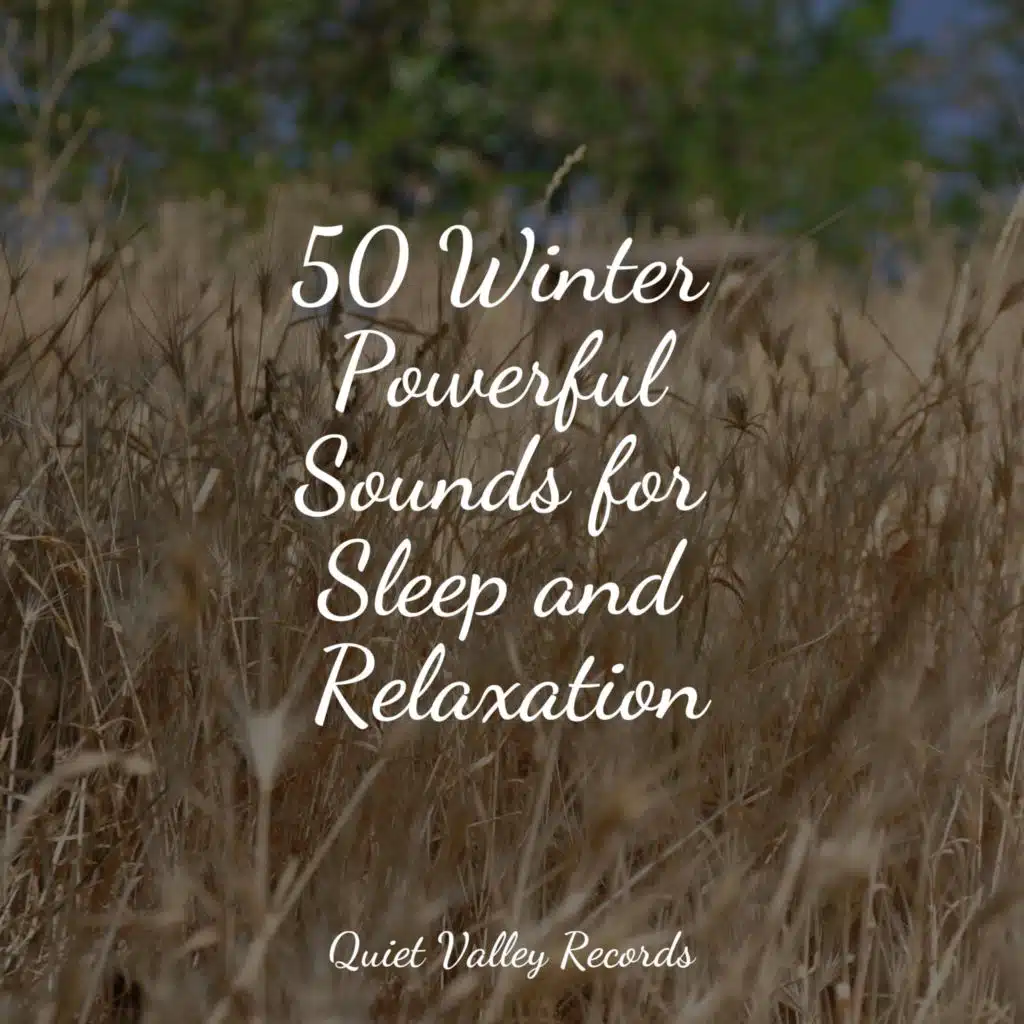 50 Winter Powerful Sounds for Sleep and Relaxation