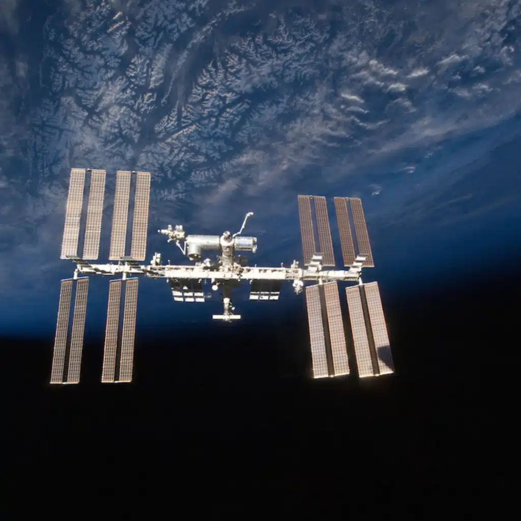 #22 — Surviving the Cosmos