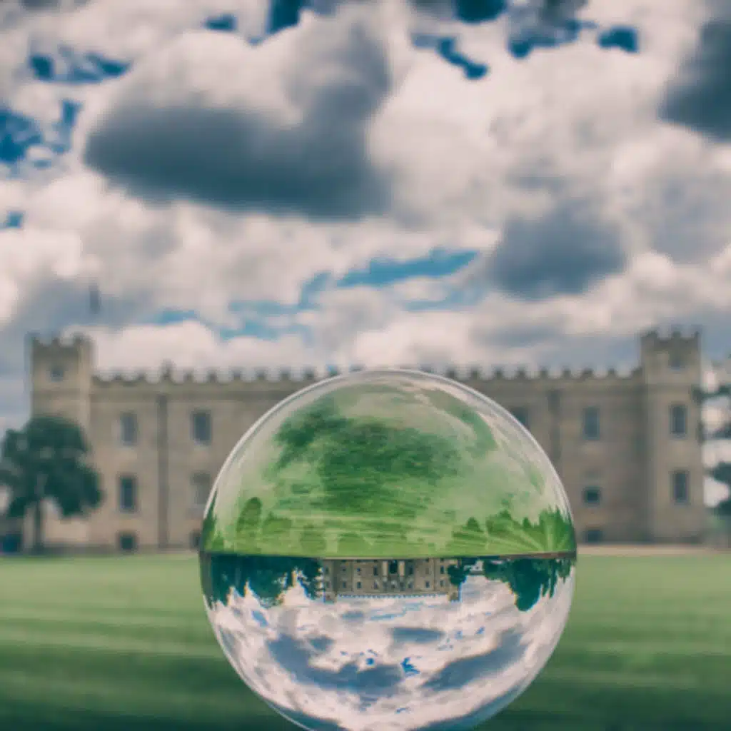 #113 — Consciousness and the Self