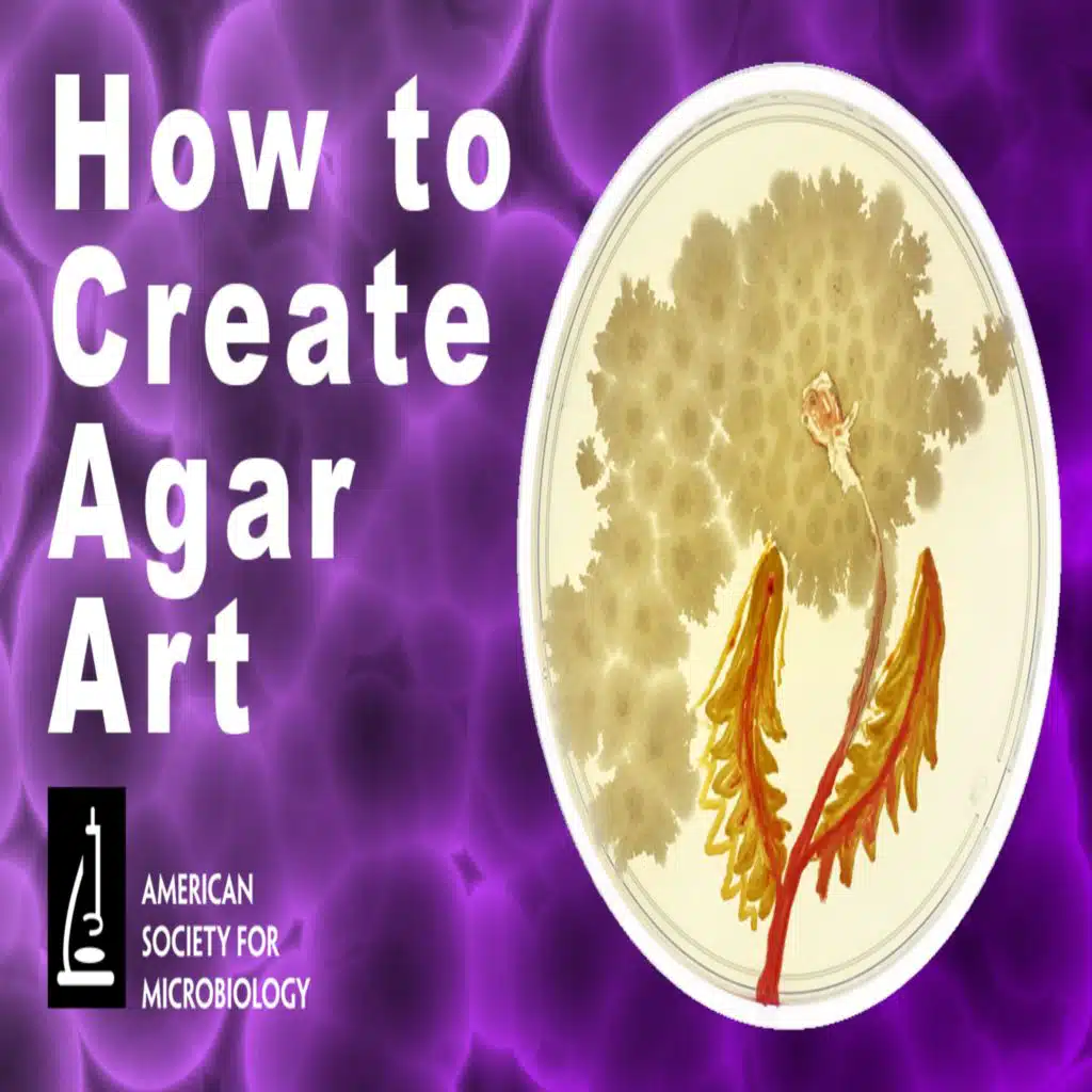 MWV 110 - How to Create Agar Art Using Living Microbes (Audio Only)