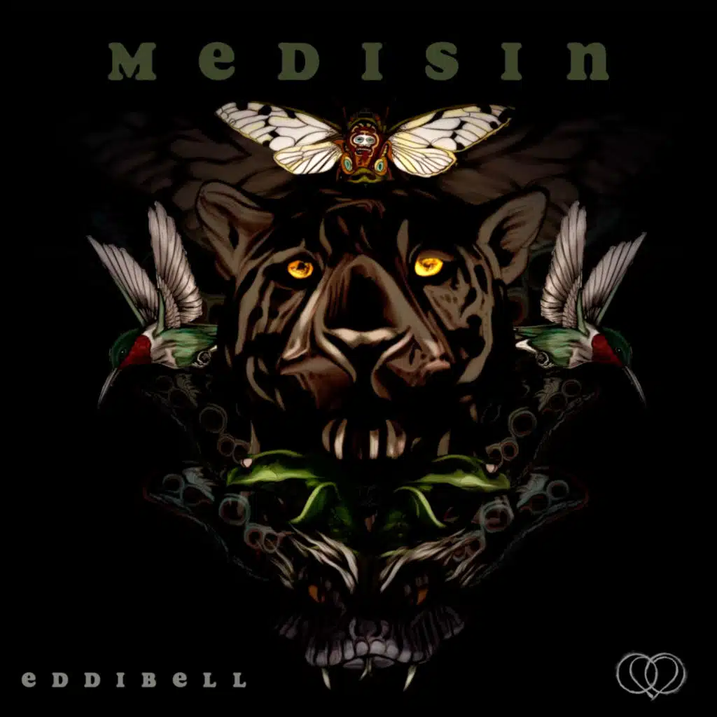 Medisin