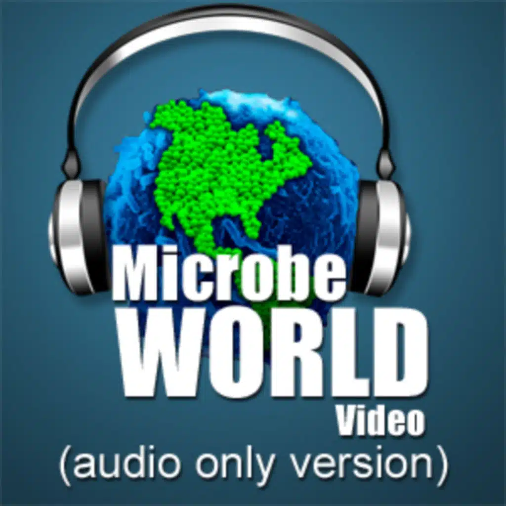 MWV Episode 43 - USA Science and Engineering Festival - Part 2