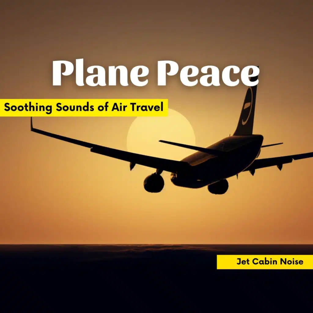Jetliner Day Flight