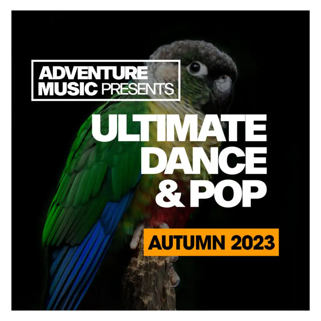 Ultimate Dance & Pop 2023