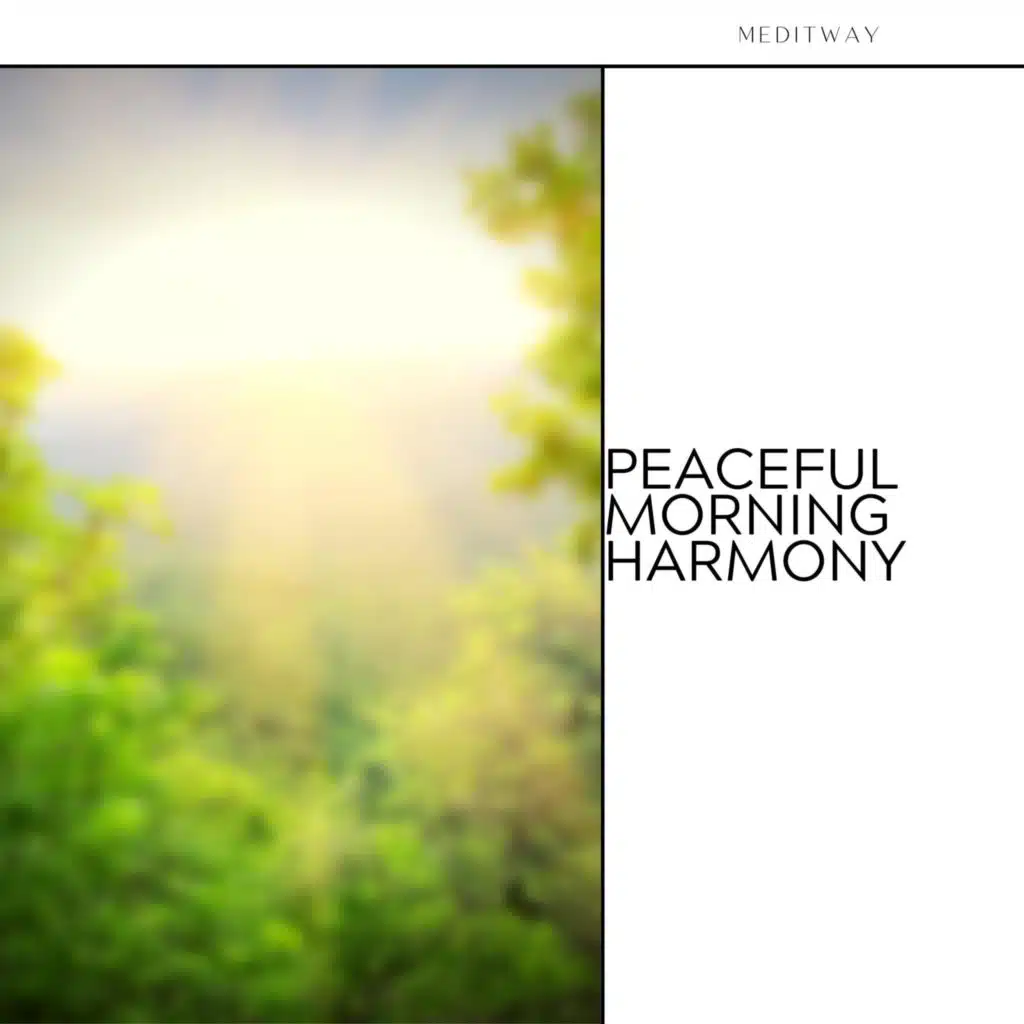 Meditway, Guided Meditation & Direction Relax