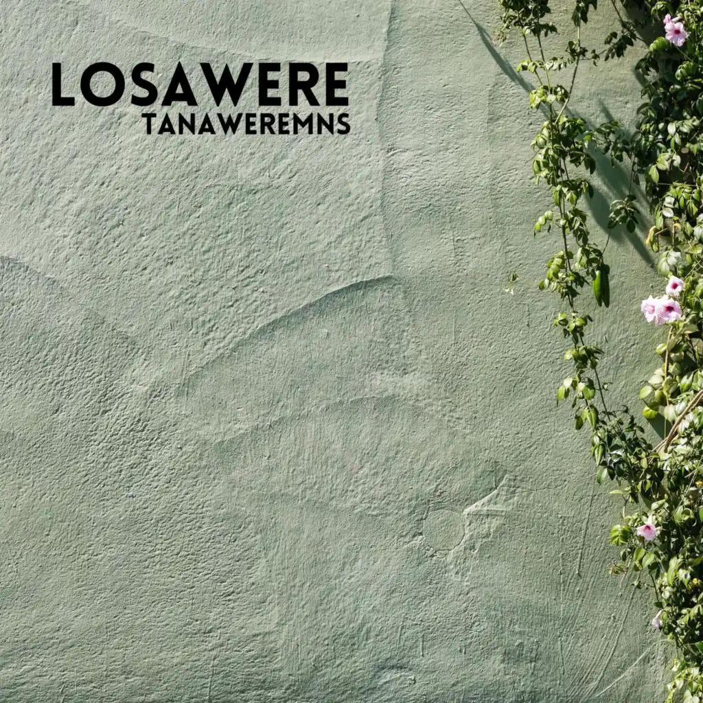 Losawere