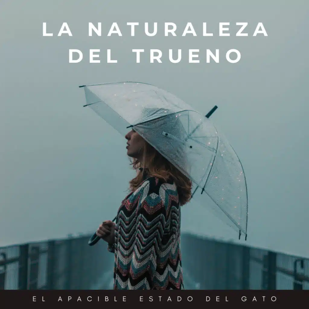 La Naturaleza Del Trueno: El Apacible Estado Del Gato