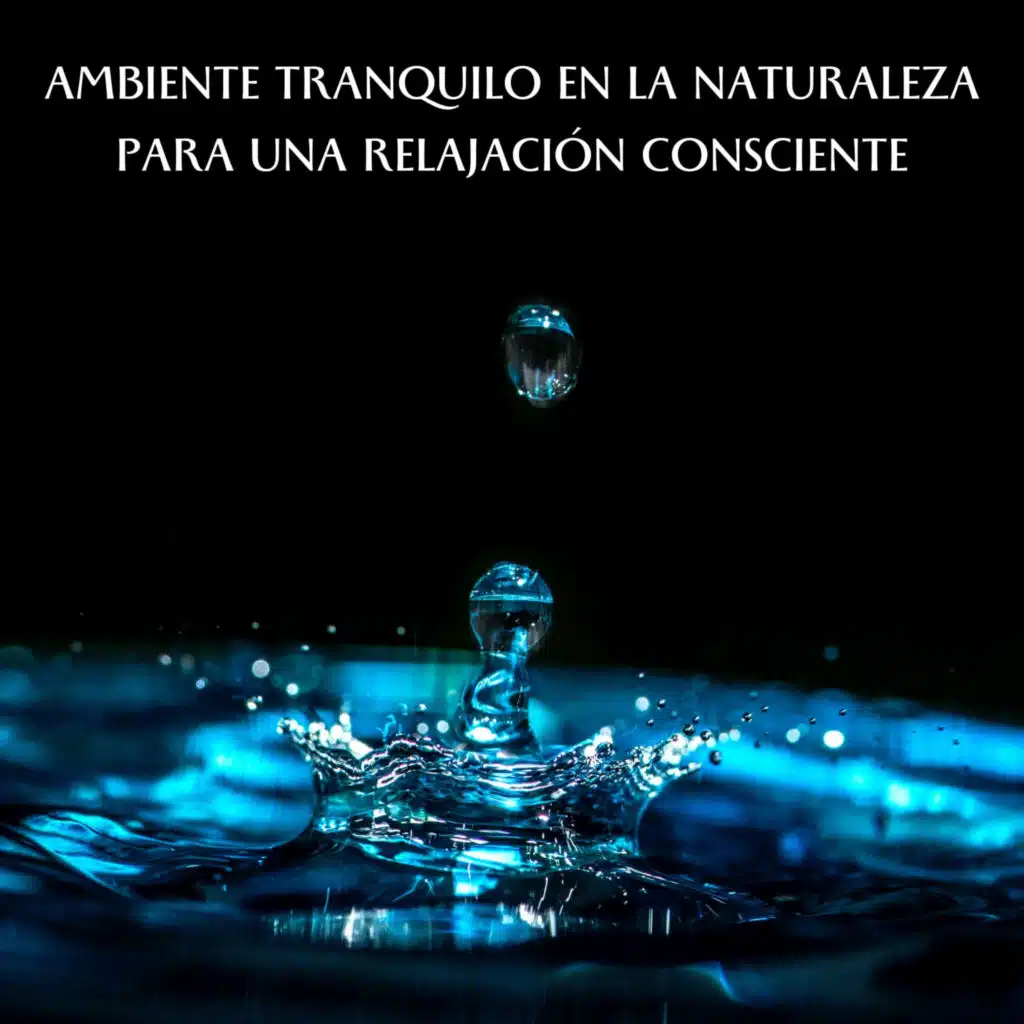 Ambiente Tranquilo En La Naturaleza Para Una Relajación Consciente