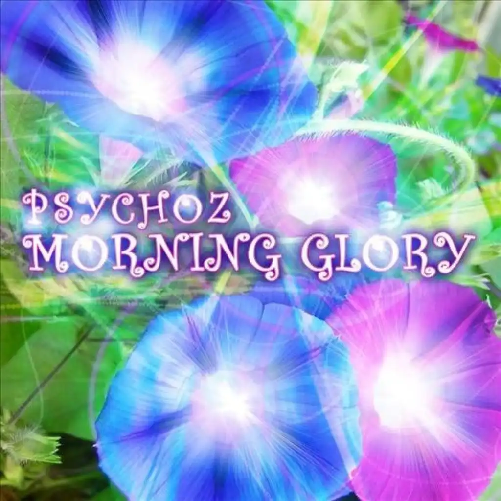 Morning Glory