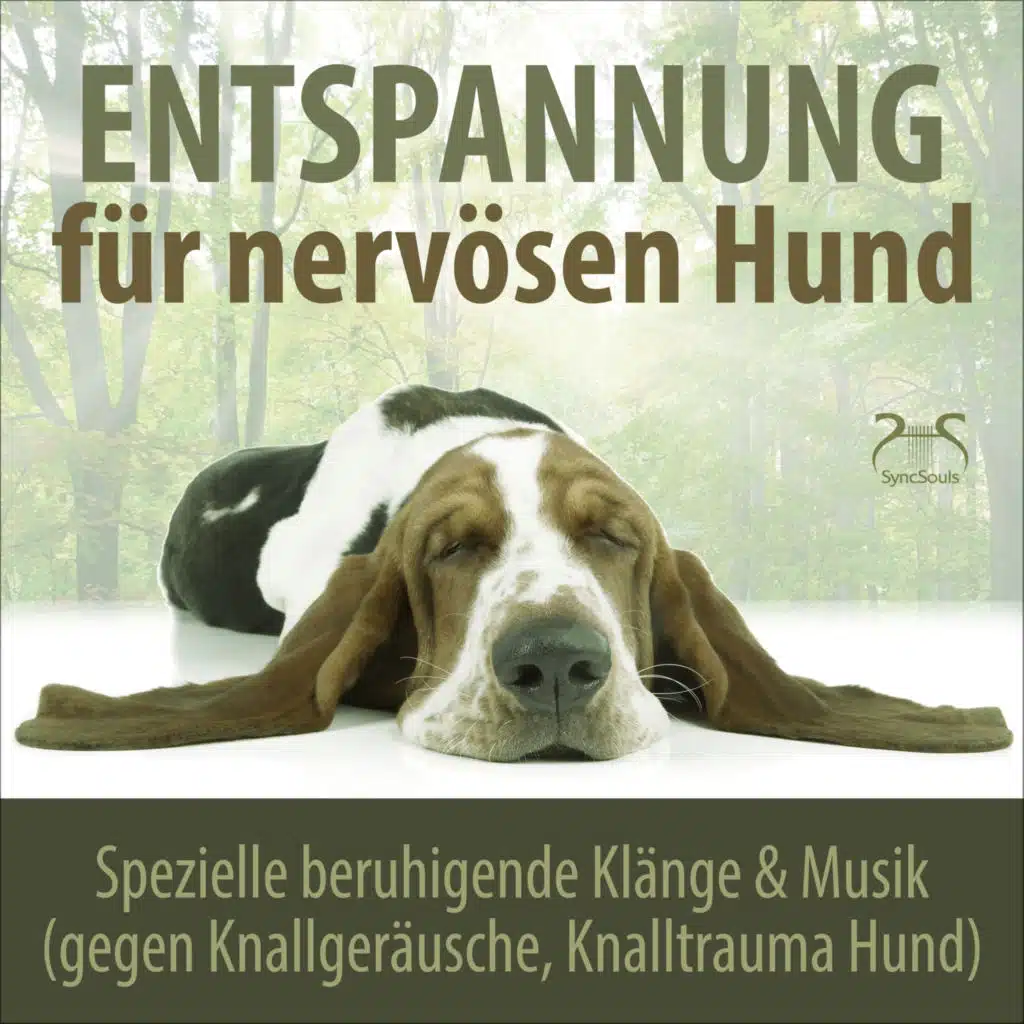 Hunde Musik TA, Hunde Liebhaber TA, Torsten Abrolat