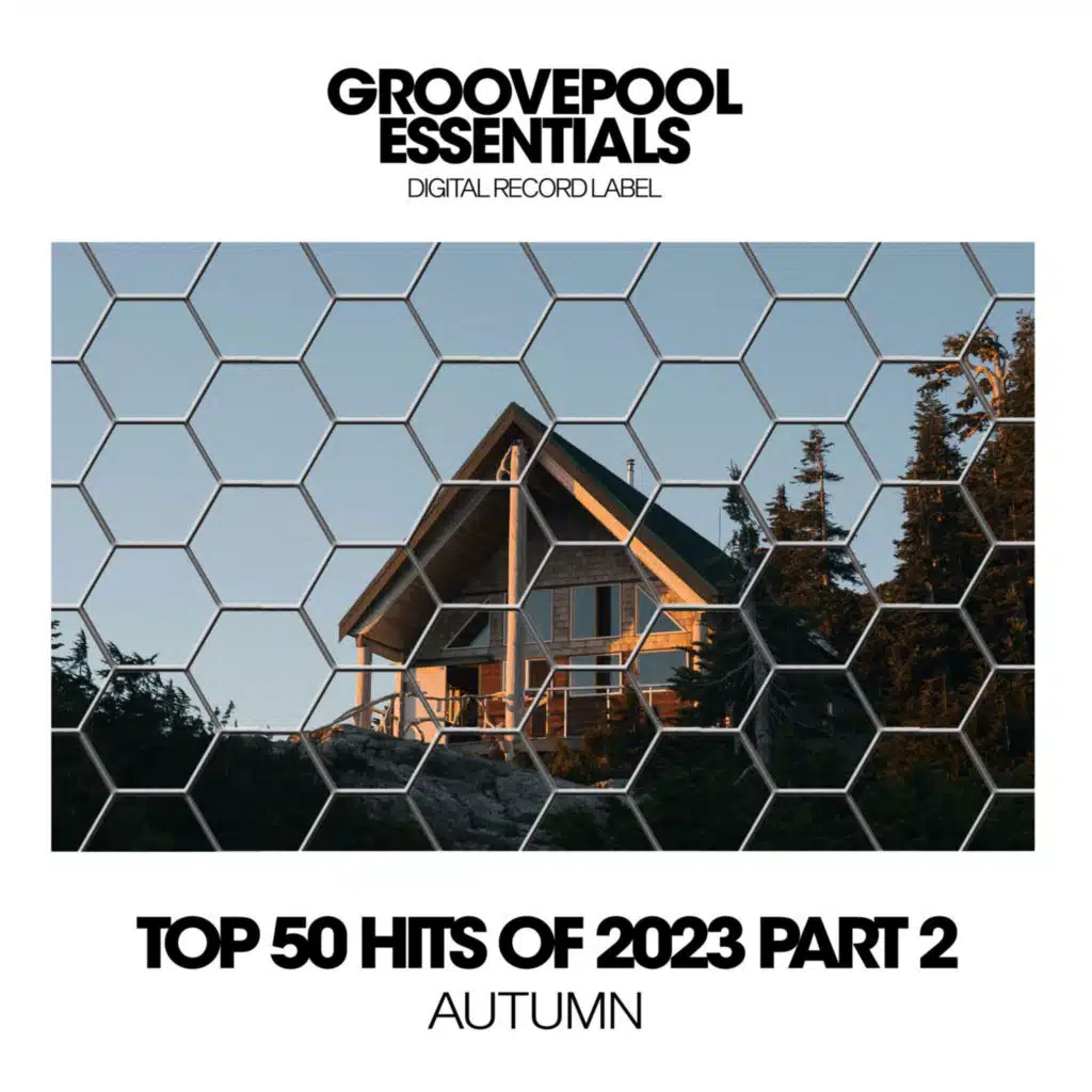 Foundation (VIP mix)