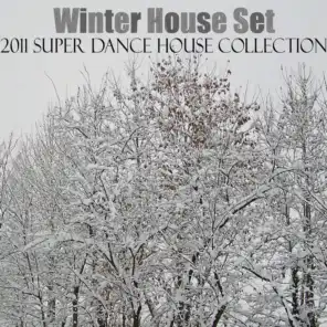 Winter House Set (2011 Super Dance House Collection)