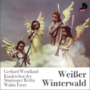 Weißer Winterwald (Winter Wonderland)