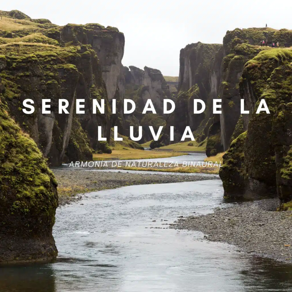 Serenidad De La Lluvia: Armonía De Naturaleza Binaural