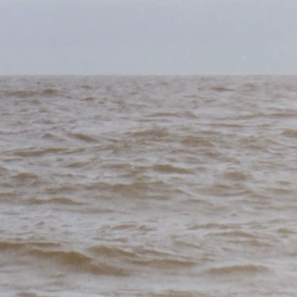 Wild Sea