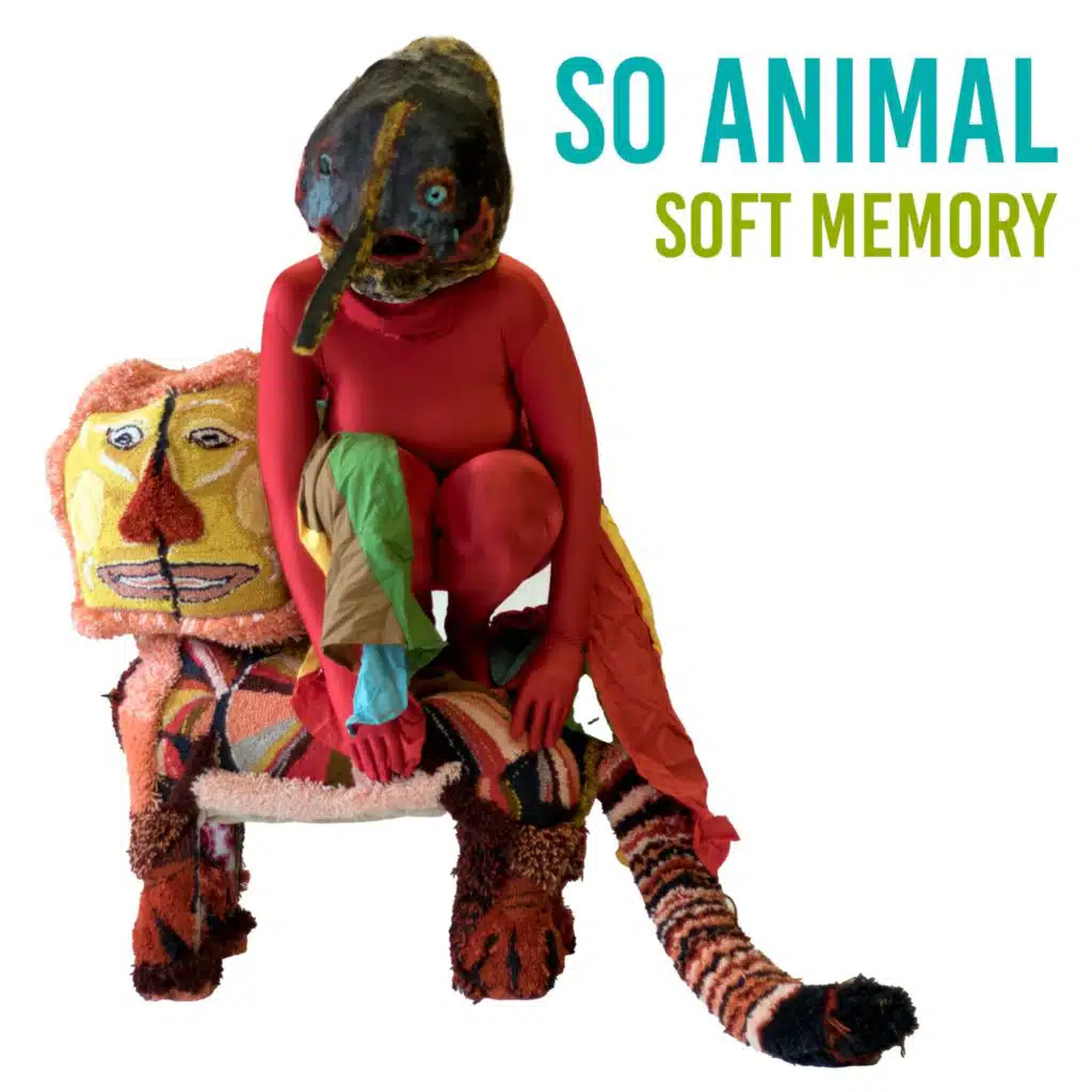 Soft Memory
