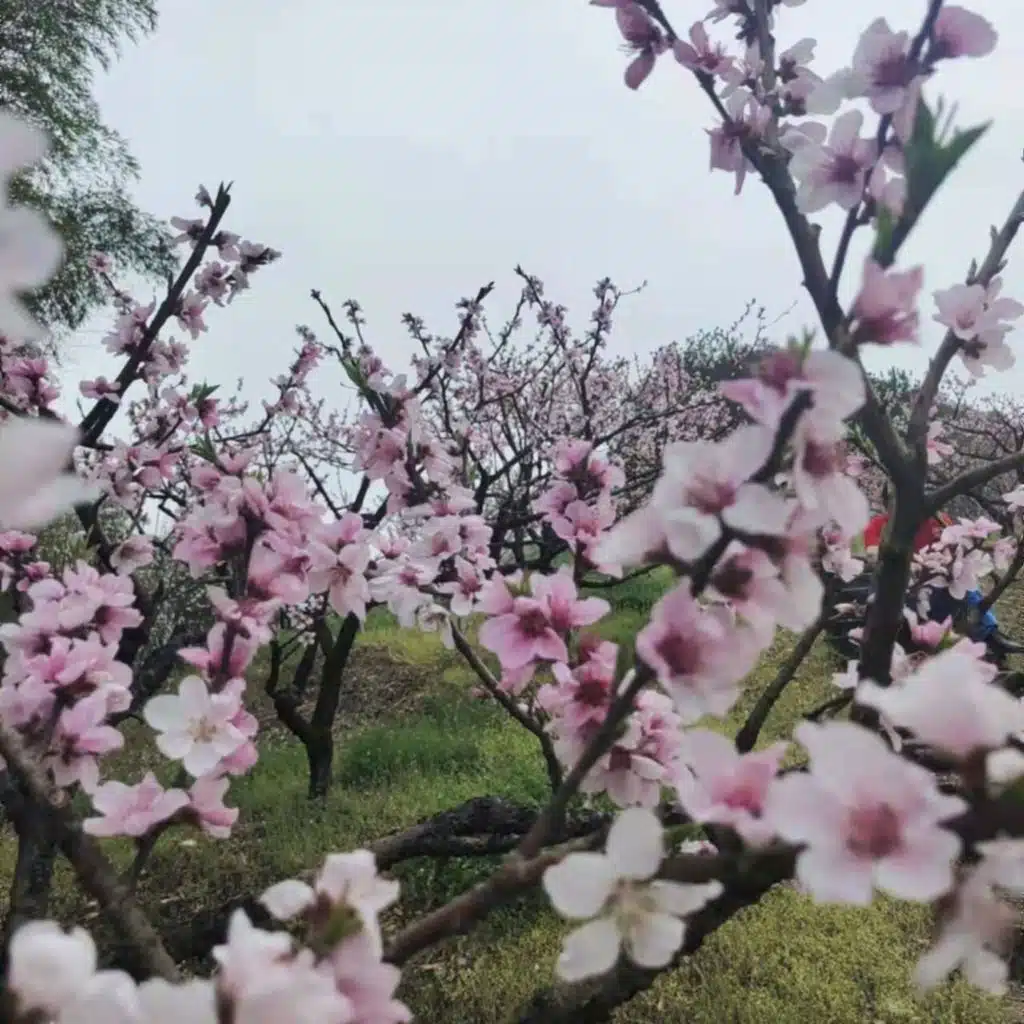 下雨了，想你了