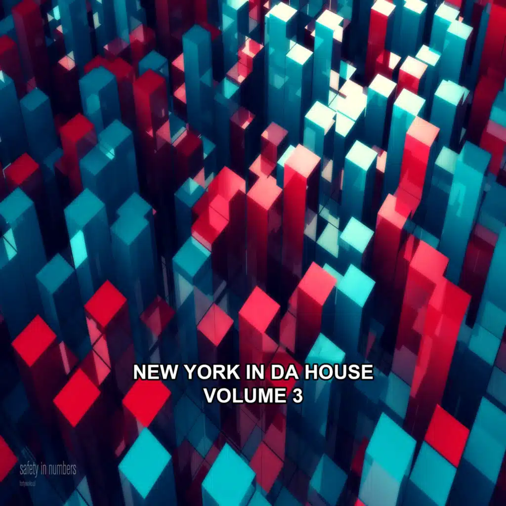 New York in Da House, Vol. 3