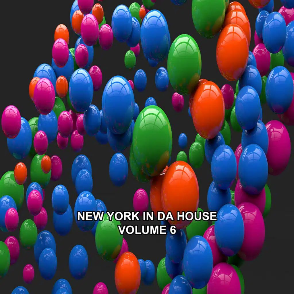 New York in Da House, Vol. 6