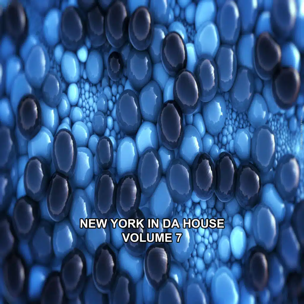 New York in Da House, Vol. 7